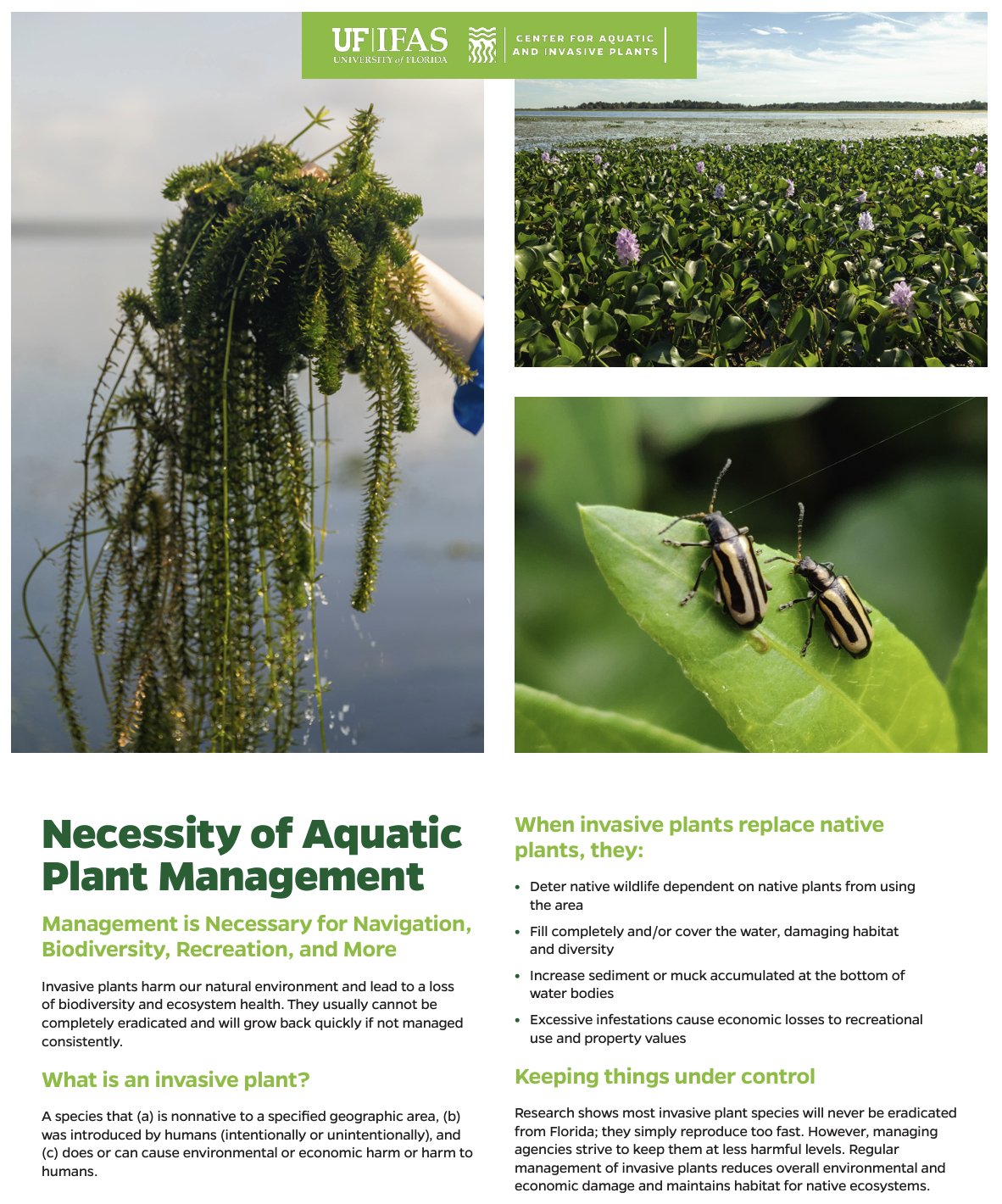 Necessity of Aquatic Plant Management Handout Cover